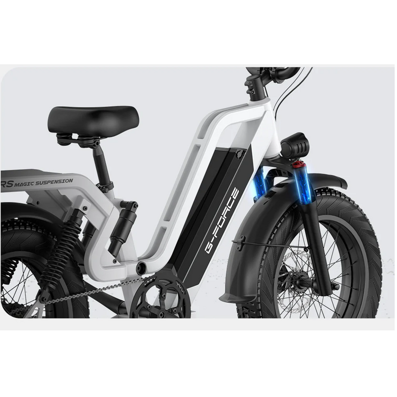 Electric Bike G-Force RS Fork