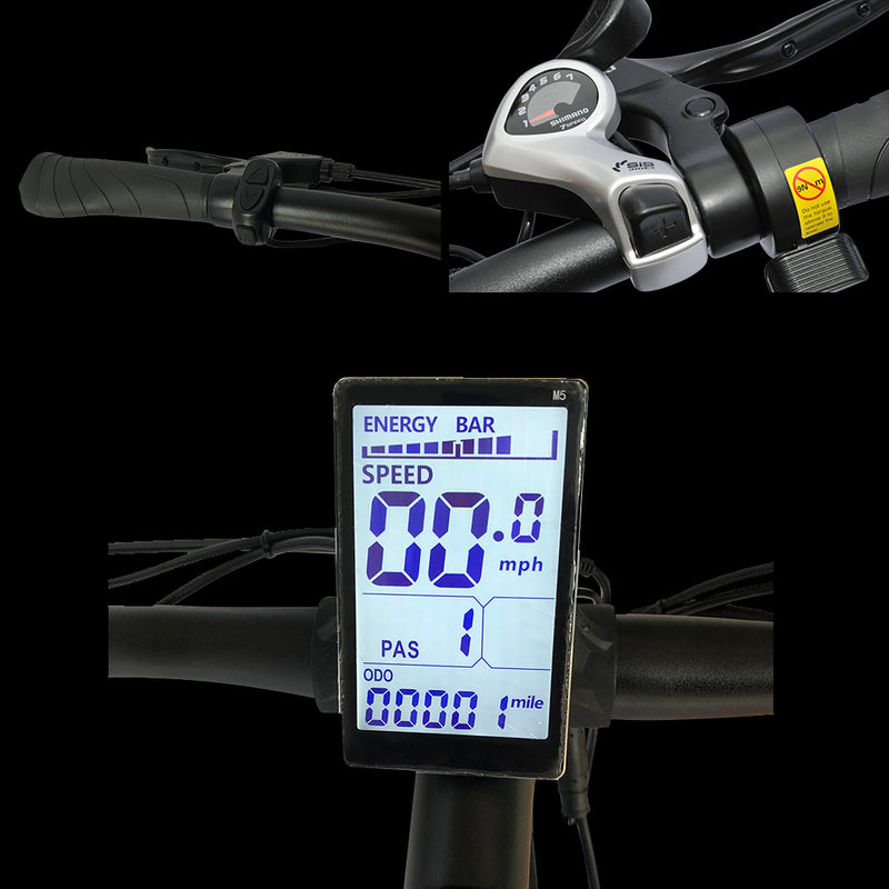 Electric Bike Micargi Monarch LCD