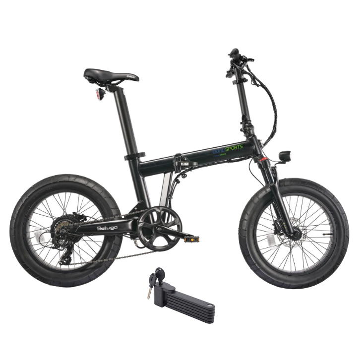 Electric Bike Qualisport Beluga Plus Black Right