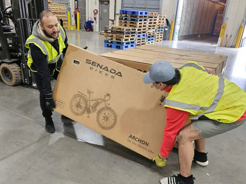 Electric Bike Senada Archon Plus Boxes