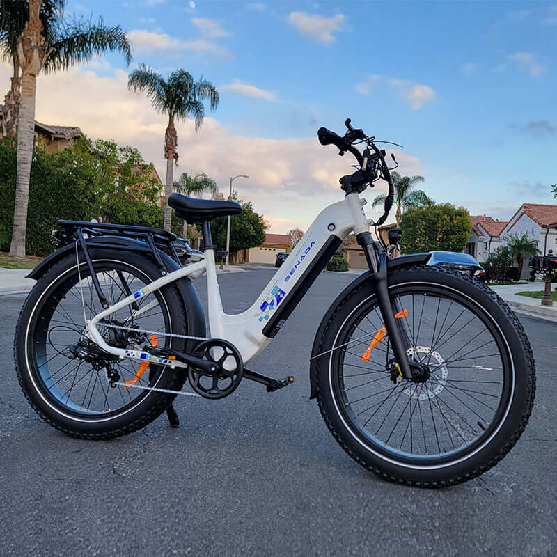 Electric Bike Senada Mayor Street