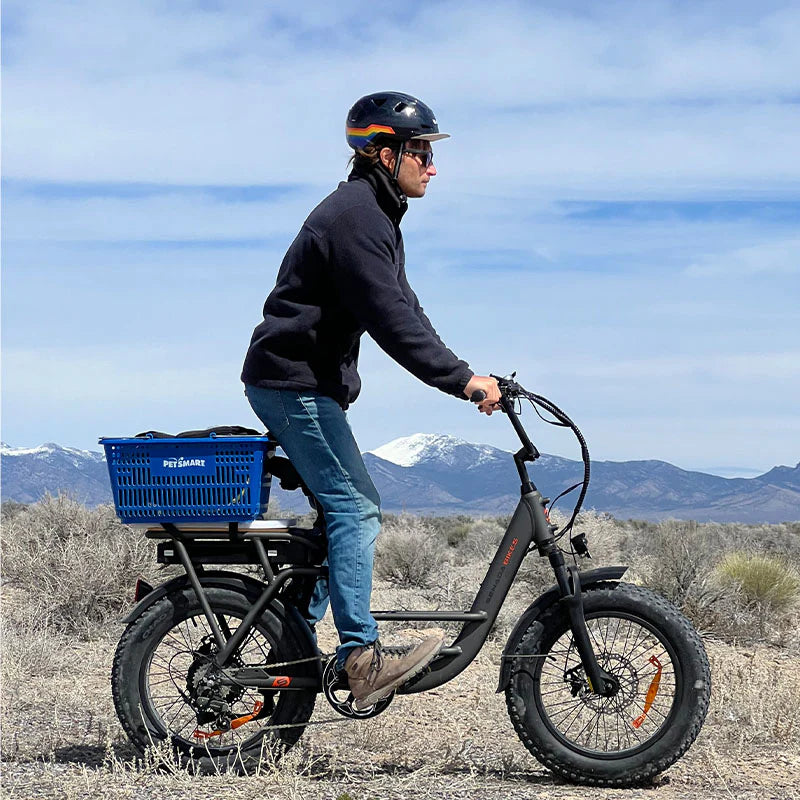 Electric Bike Senada Osprey Mountain