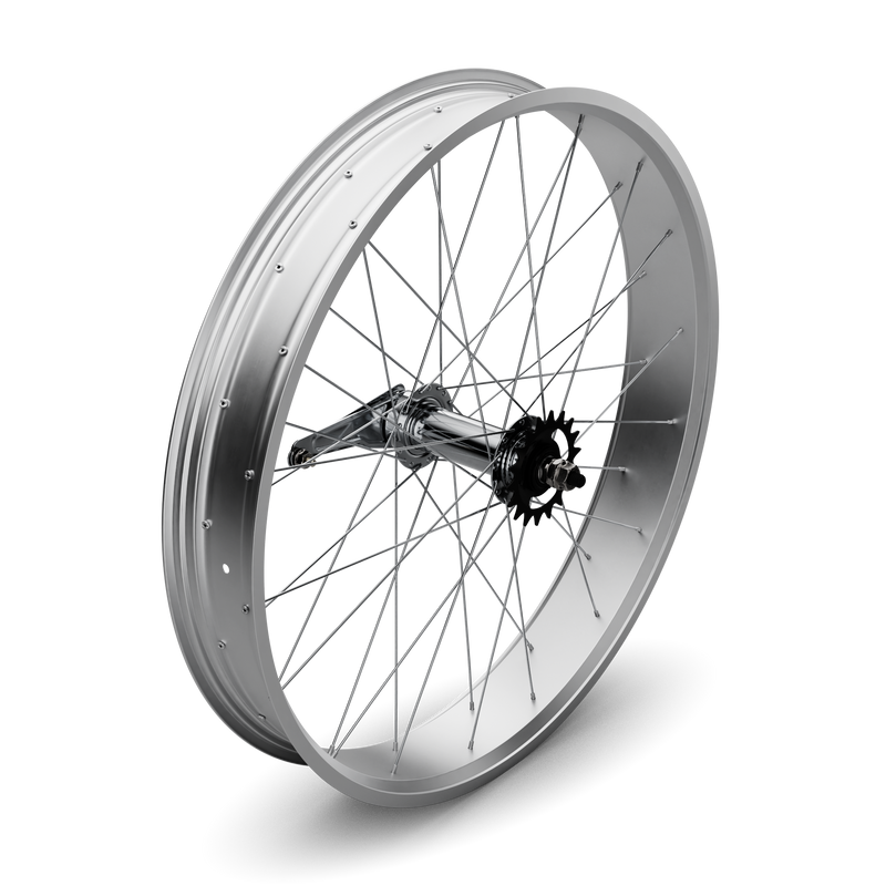 26" Fat Tire Coaster Brake Beach Cruiser Wheel Set (Silver)