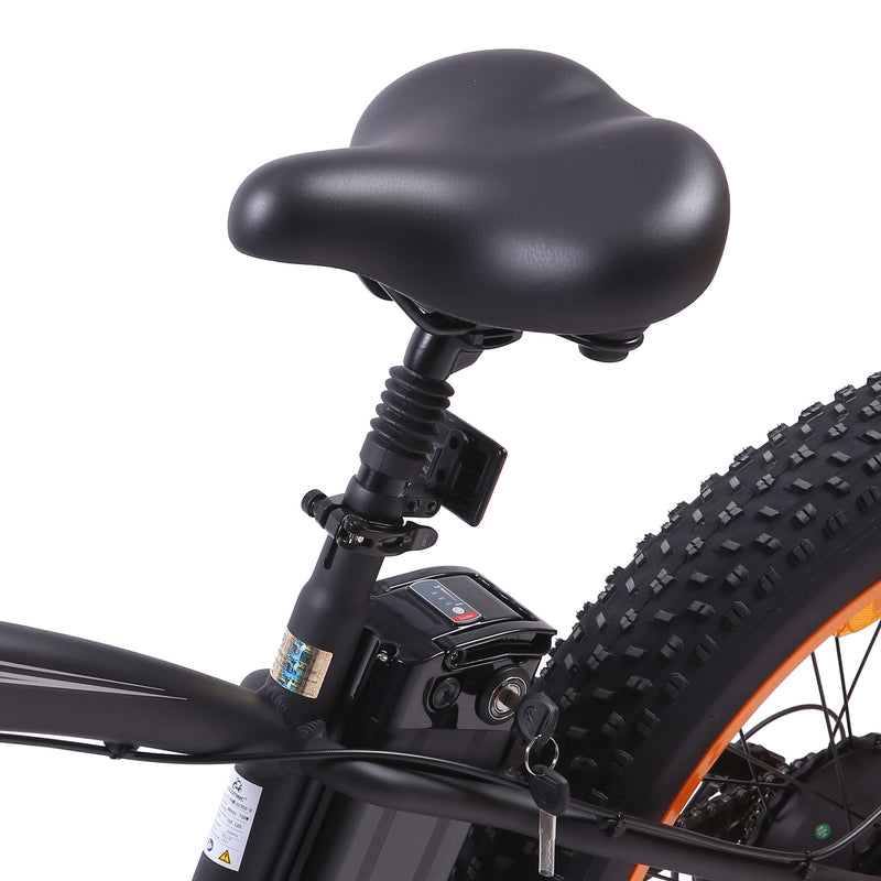 Ecotric 750W Hammer Fat Tire Electric Bike