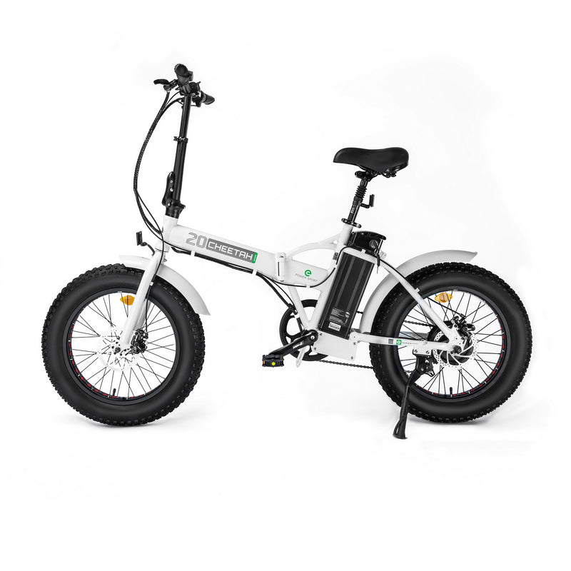 Ecotric 500W 20" Fat Portable and Folding Electric Bike