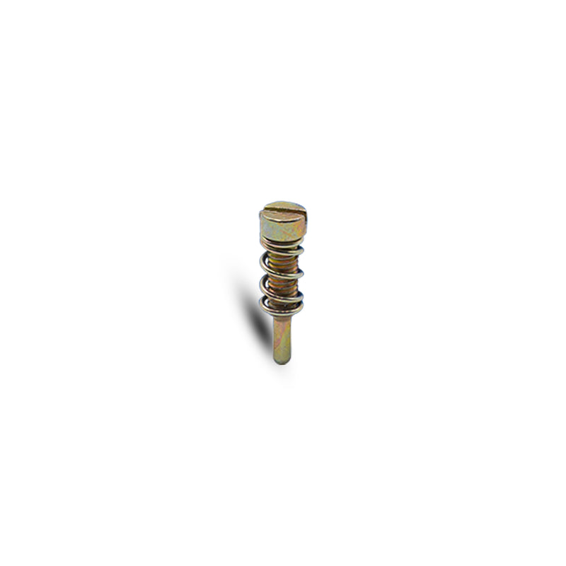 Carburetor Idle Adjustment Screw w/ Spring - Main Profile