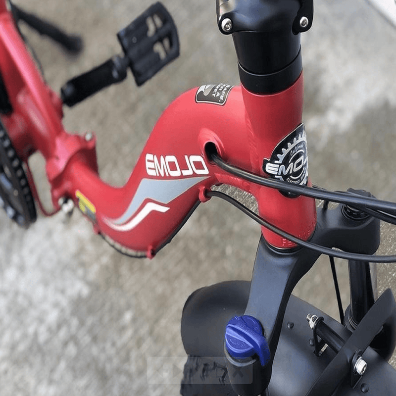 Electric Bicycle Emojo Ram SS Logo