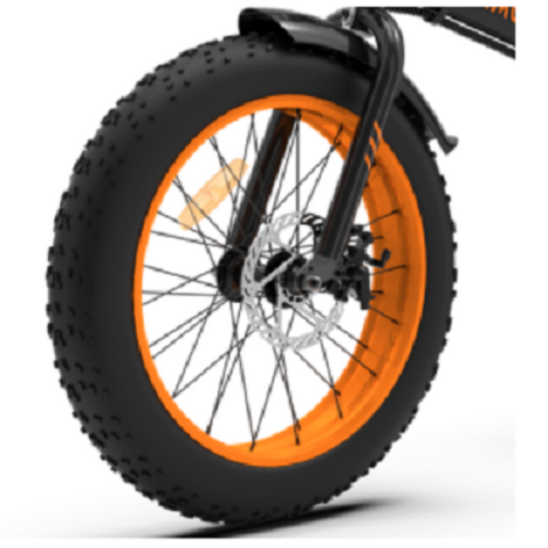 Electric Bike Aostirmotor A20 Tire