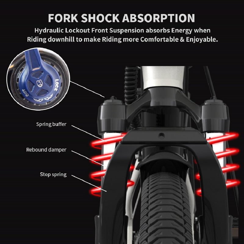 Electric Bike Aostirmotor S07-P Shock