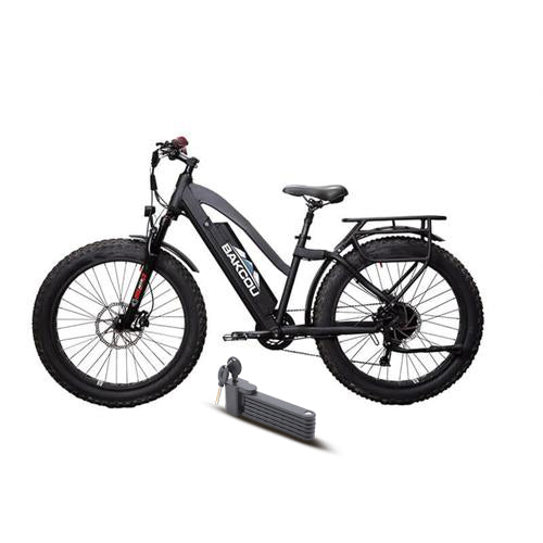 Electric Bike Bakcou Flatlander Main