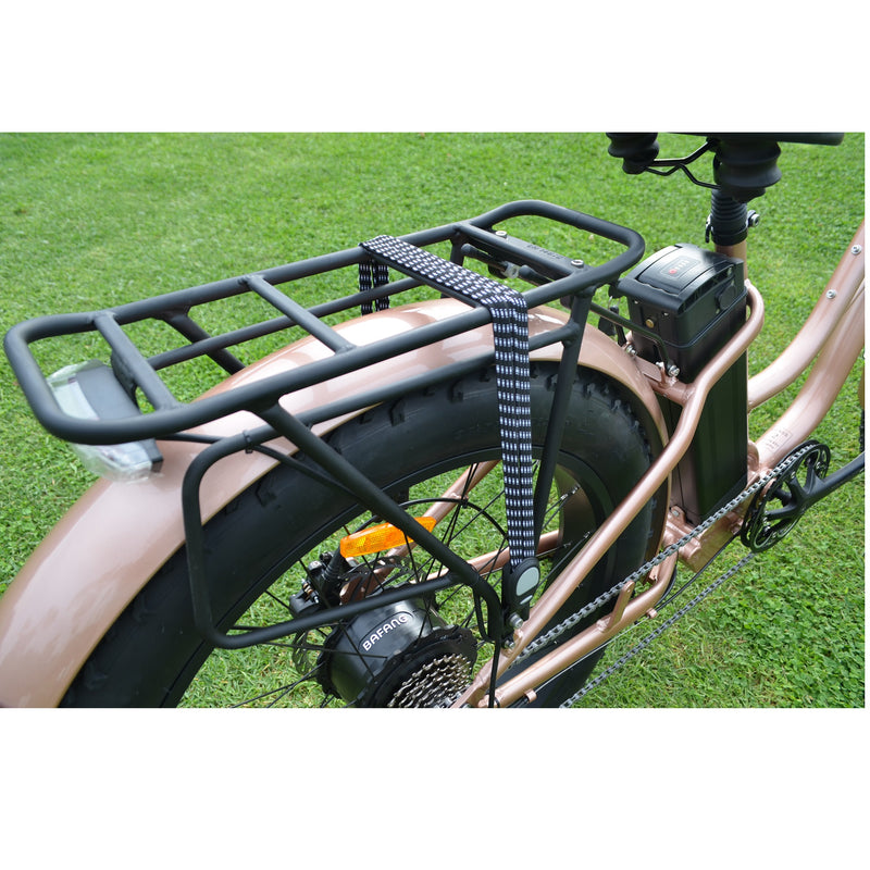 Electric Bike Coastal Cruiser 750W Rack