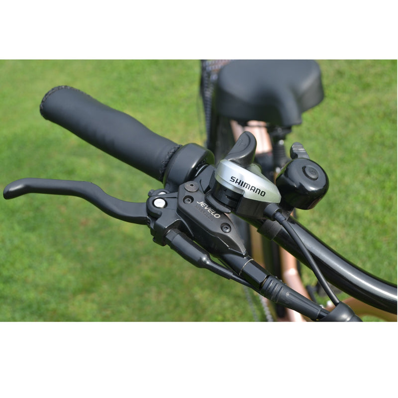 Electric Bike Coastal Cruiser 750W Shifter