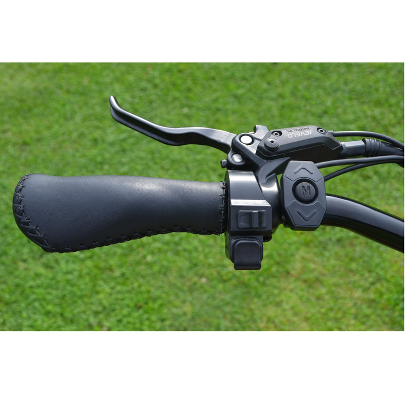 Electric Bike Coastal Cruiser 750W Throttle