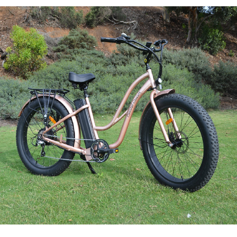 Electric Bike Coastal Cruiser 750W ST Gold Outside