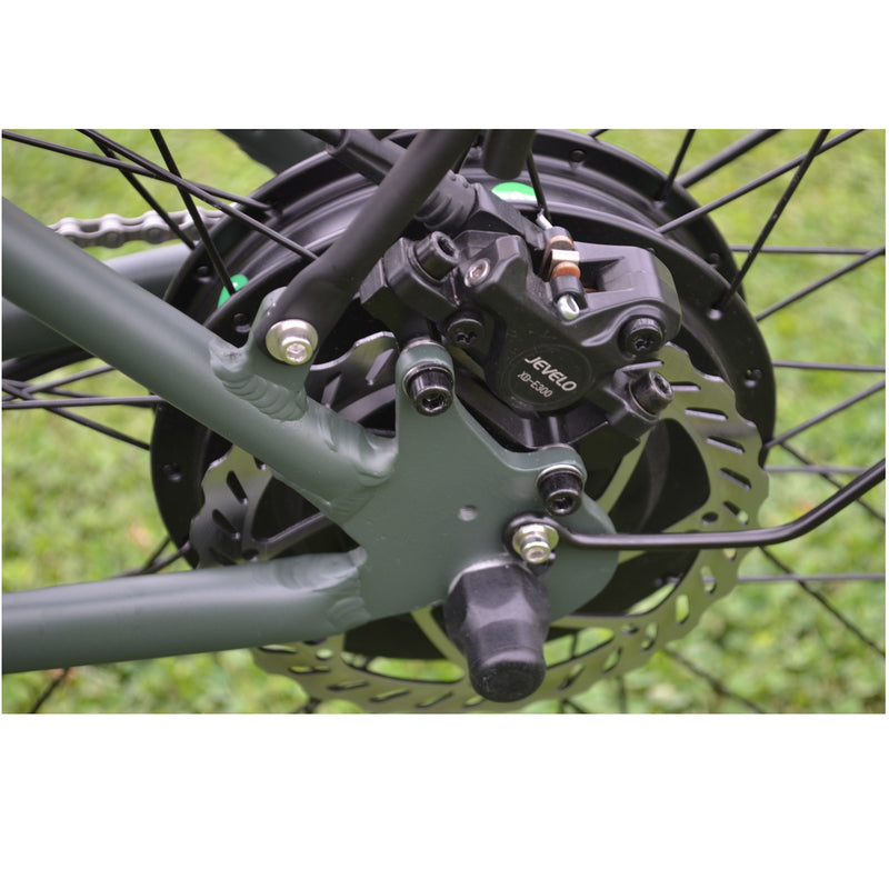 Electric Bike Coastal Cruiser 500W Classic Step Thru Hub