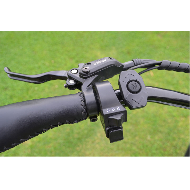 Electric Bike Coastal Cruiser 500W Classic Step Thru Brake