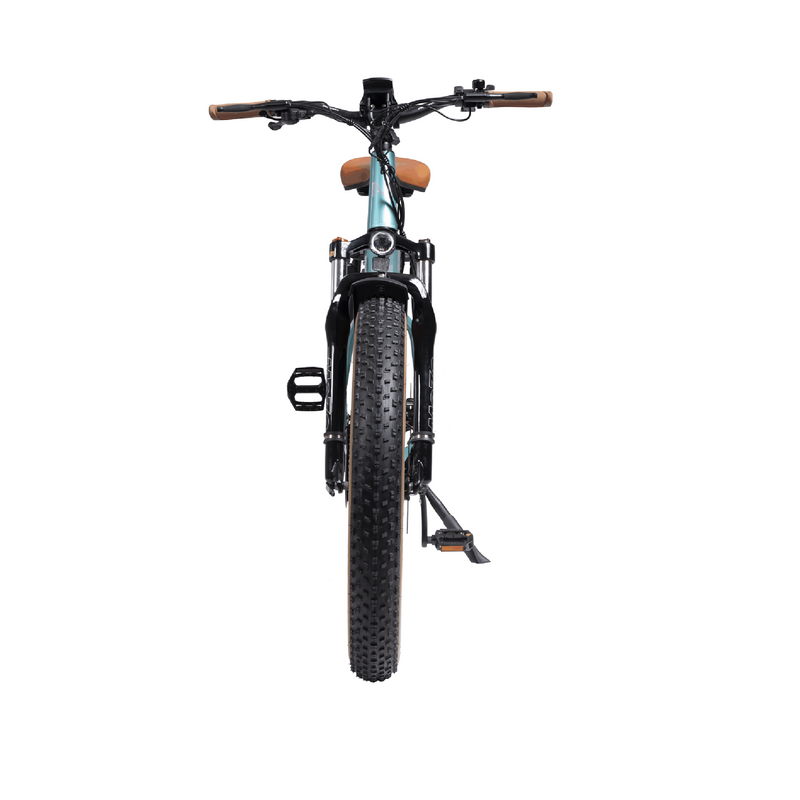 Electric Bike DWMeigi Artemis Front