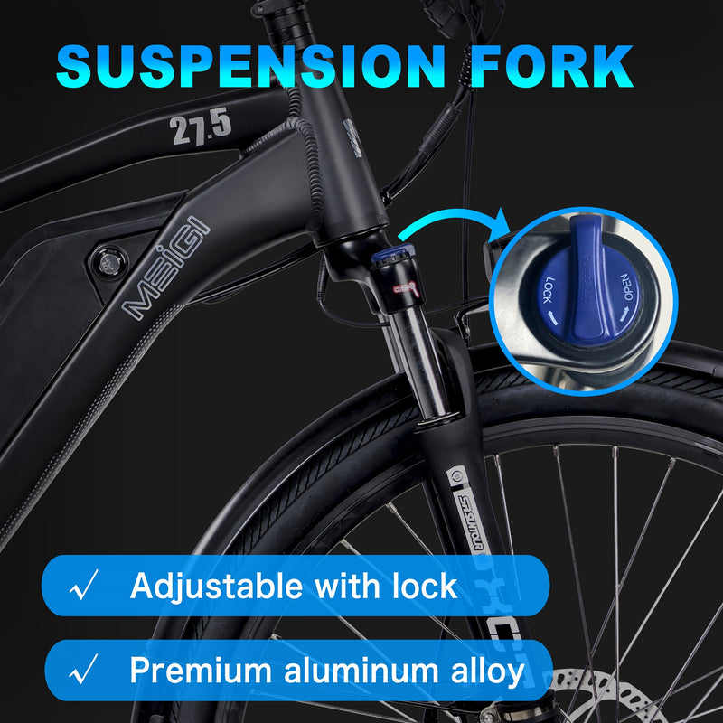 Electric Bike DWMeigi Helios Fork