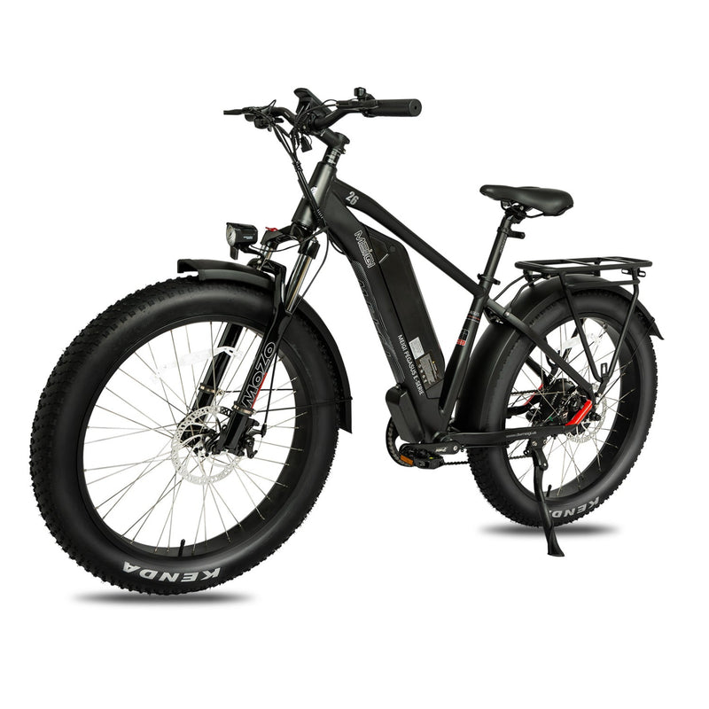 Electric Bike DWMeigi Pegasus Black Left Front