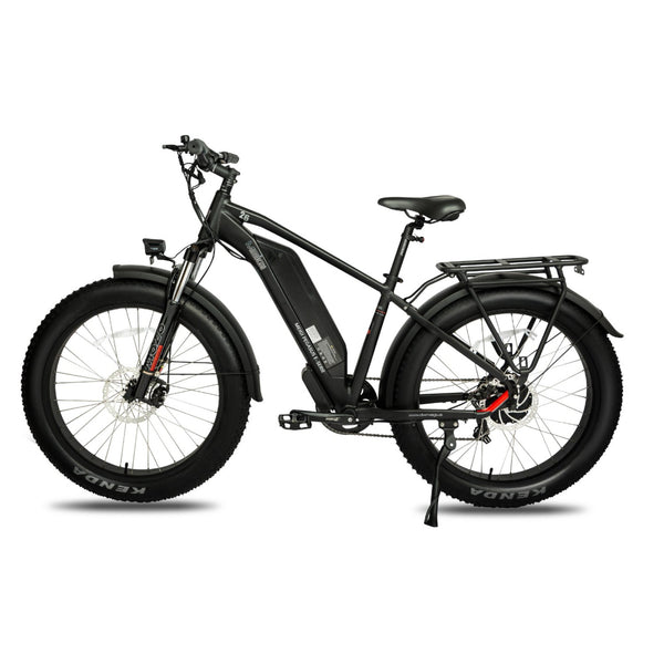 Electric Bike DWMeigi Pegasus Black Left