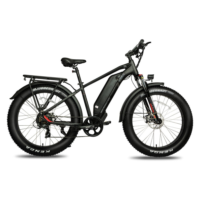 Electric Bike DWMeigi Pegasus Black Right