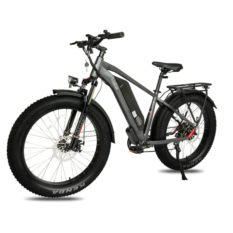 Electric Bike DWMeigi Pegasus Grey Left Front