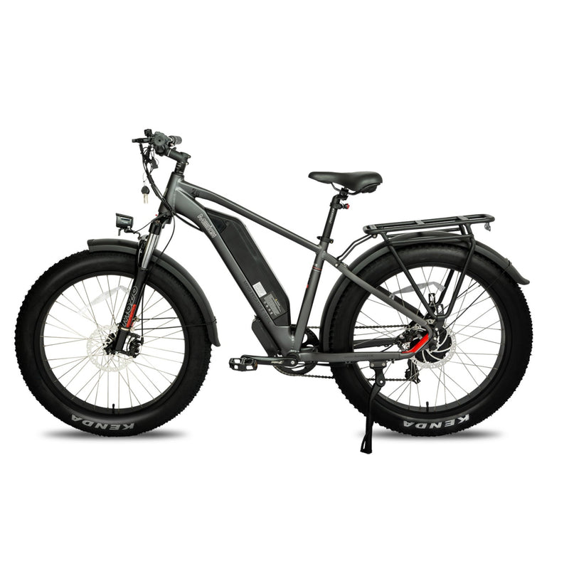 Electric Bike DWMeigi Pegasus Grey Left