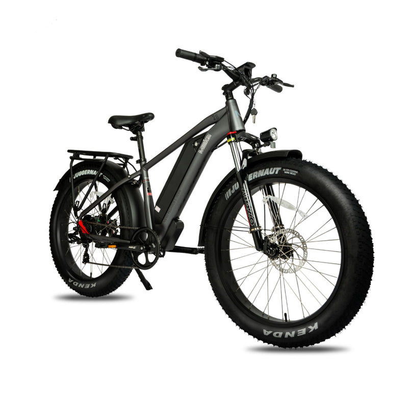 Electric Bike DWMeigi Pegasus Grey Right Front