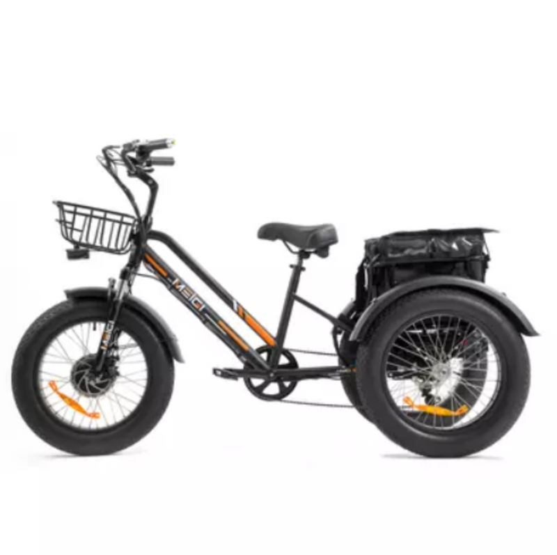 Electric Bike DWMeigi 1703 Black Left