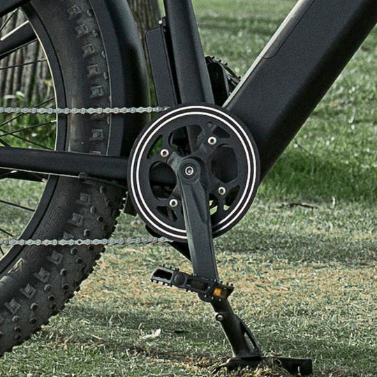 Electric Bike Dirwin Pioneer Step Over Crank