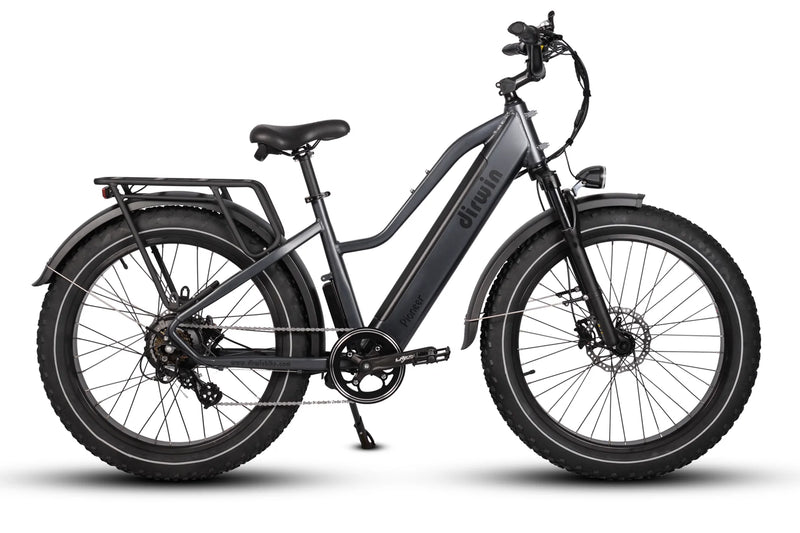 Electric Bike Dirwin Pioneer Step-Thru Grey Right