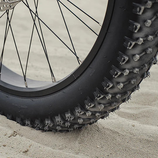 Electric Bike Dirwin Pioneer Step-Thru Tire