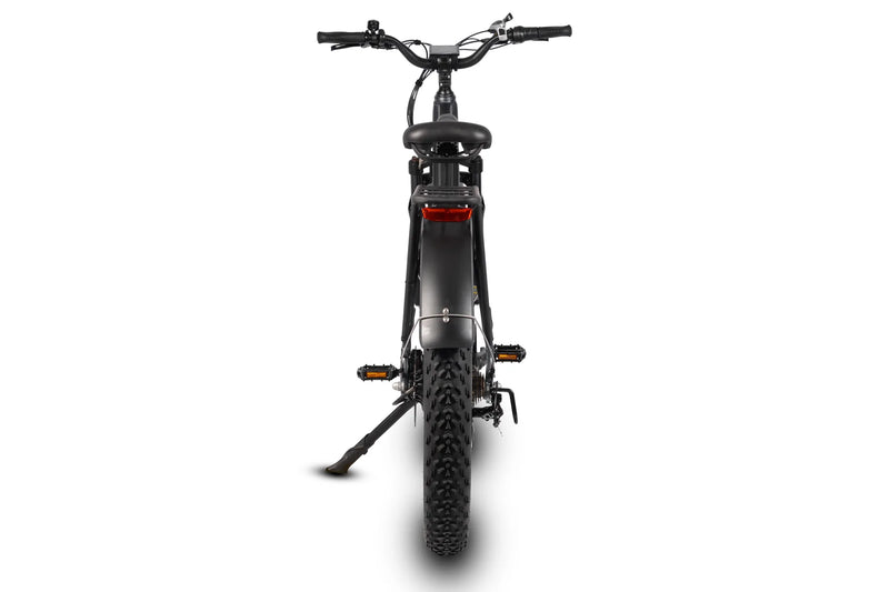 Electric Bike Dirwin Pioneer Step-Thru Rear