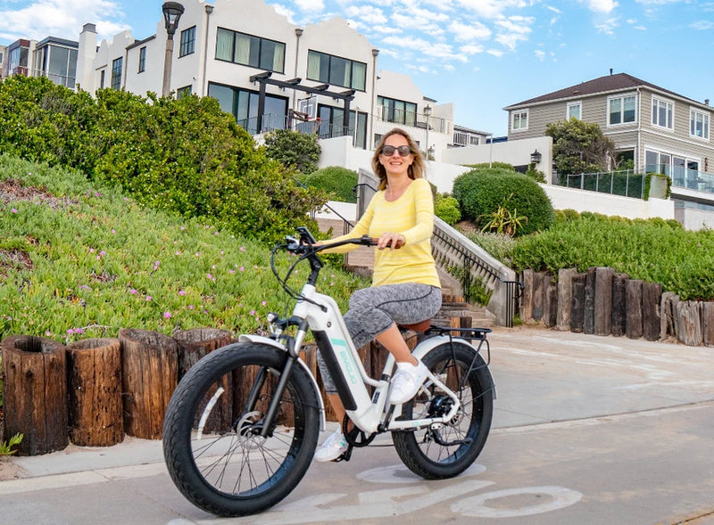 Electric Bike Emojo Breeze Pro City