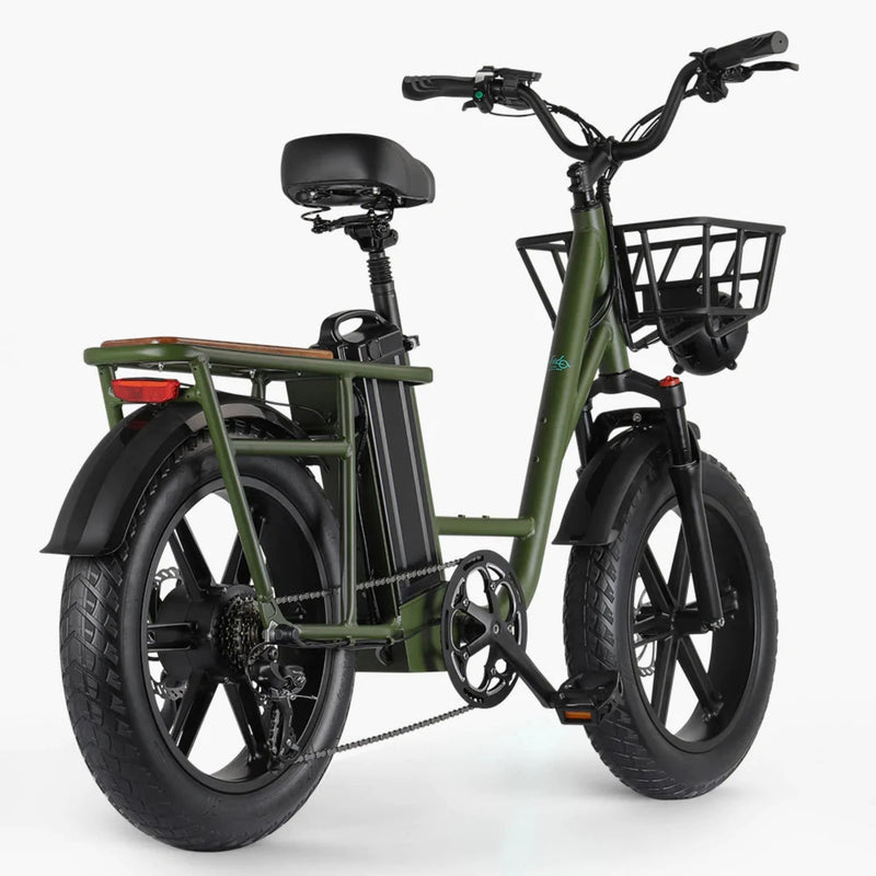 Electric Bike Fiido T1 Right Rear