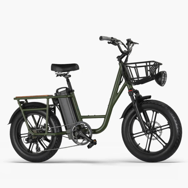 Electric Bike Fiido T1 Right