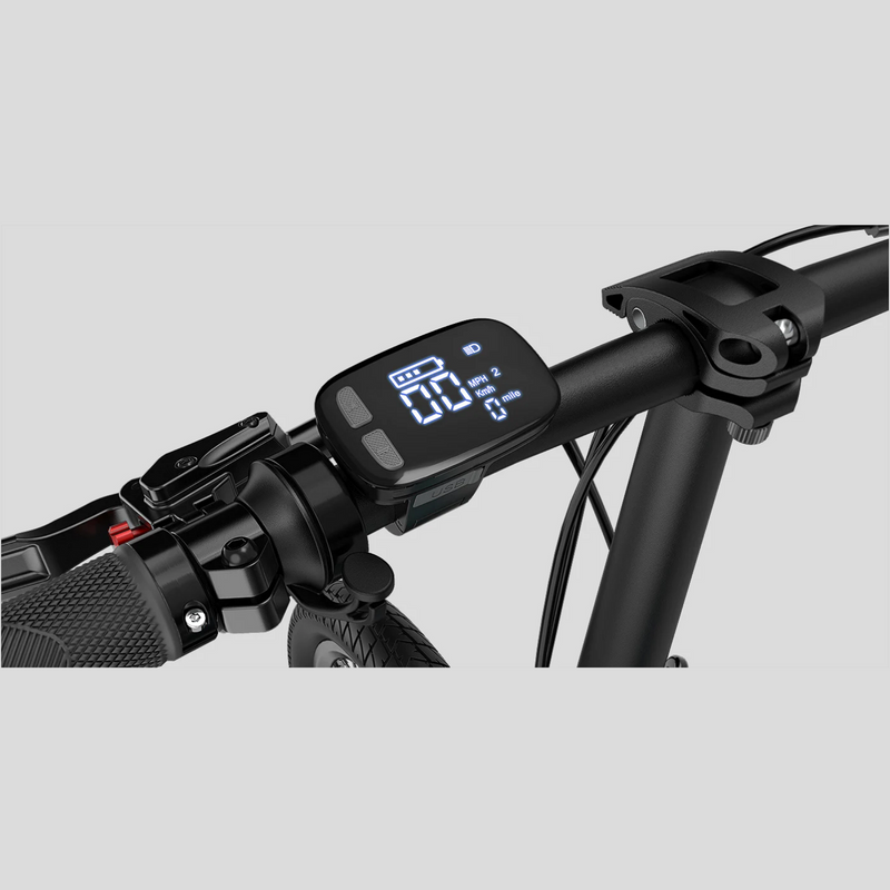 Electric Bike Fiido X LCD