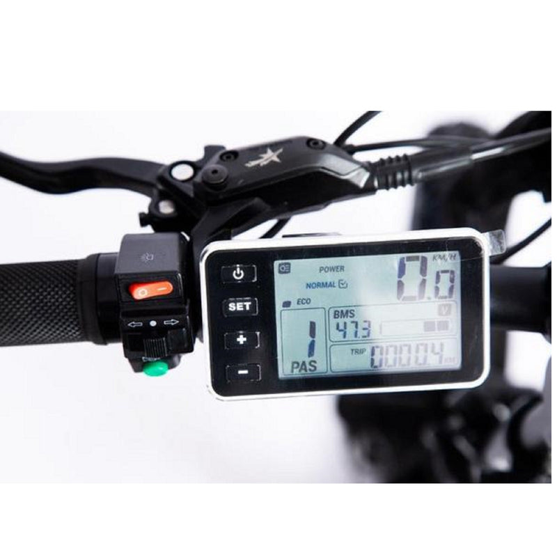 Electric Bike Green Bike GB 750 Low Step Fat Tire Speedometer