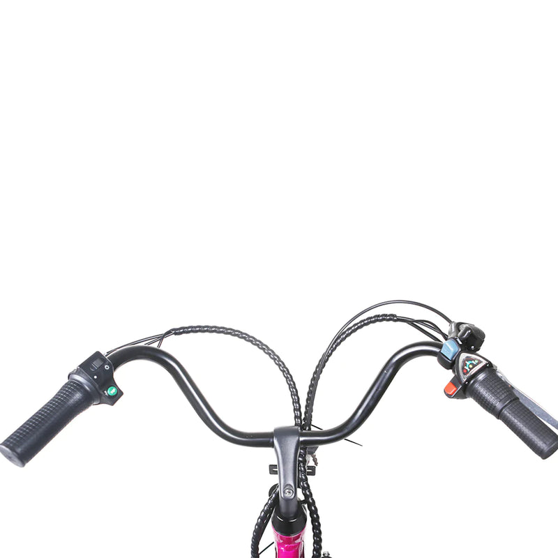 Electric Bike Nakto Strollor Handlebar