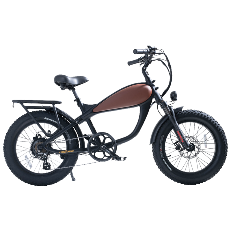 Electric Bike Revi Cheetah Mini Right with Rack