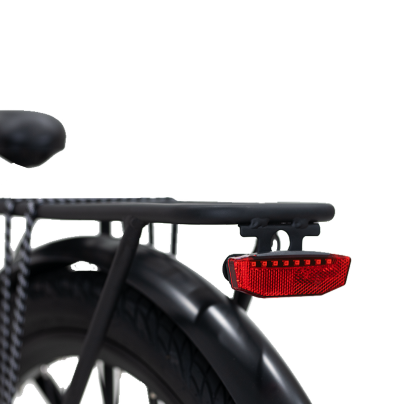 Electric Bike Revi Oasis Rack