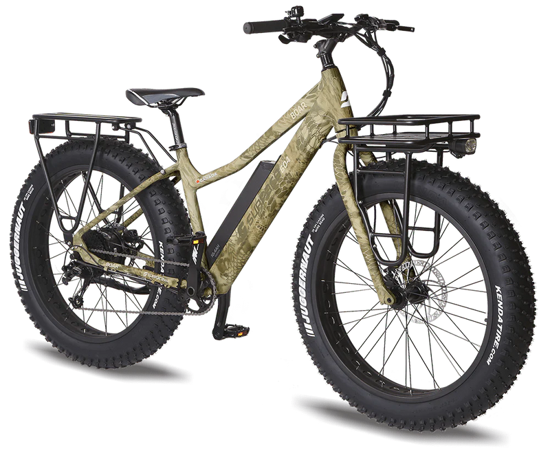 Electric Bike Surface 604 Boar Specs