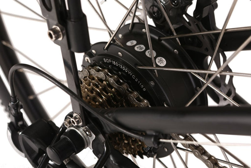 Electric Bike X-Treme TrailClimber Elite Hub