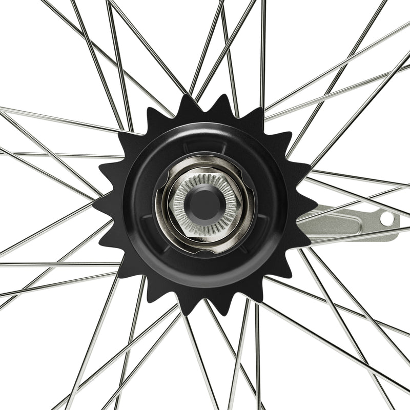 HD Wheels Silver Rear Coaster Hub