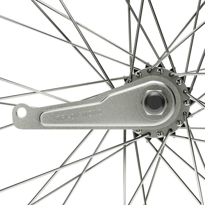 HD Wheels Silver Rear Coaster Hub Detail