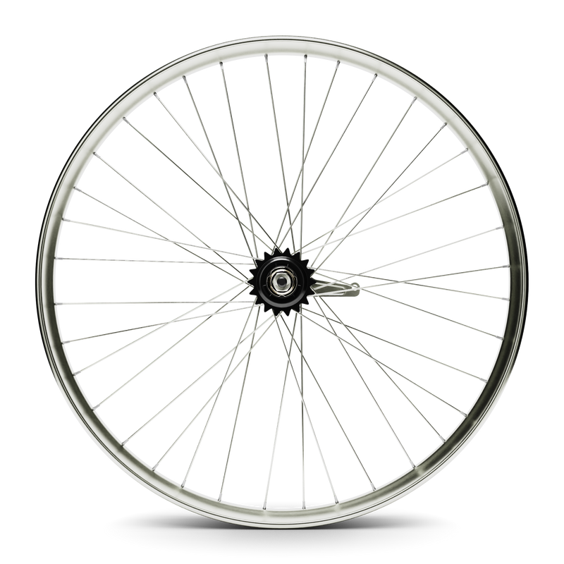 Hd Wheels Silver Rear Coaster Side