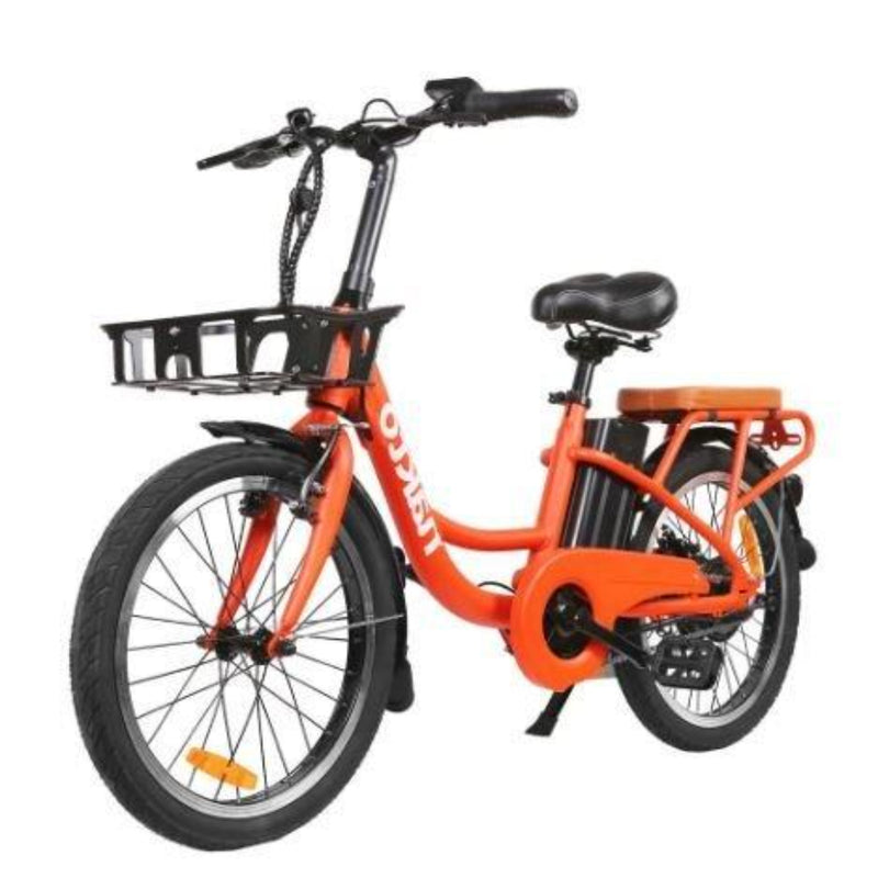 Nakto 250W 20" City Cargo Pony front of bicycle