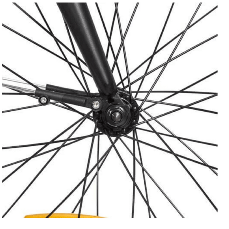 Electric Bike Ecotric Starfish Spokes