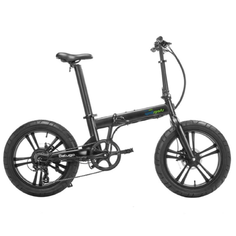 Electric Bike Qualisports Beluga Black Main